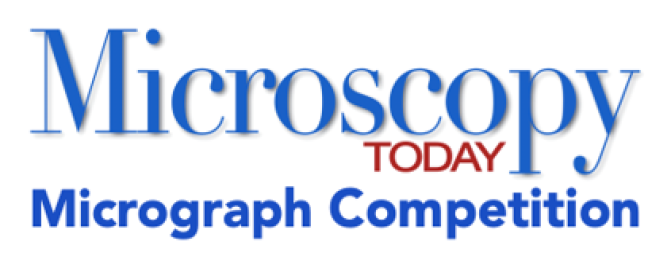 MTMicrographCompetitionLogo.png